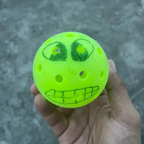Vipers pickleball community