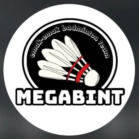 Megabint