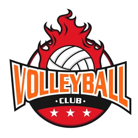 Black'K Volleyball