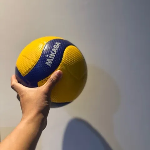 Volleybae