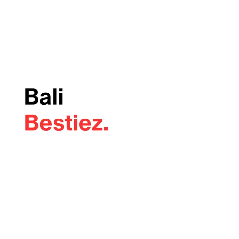 Padel Bestiez