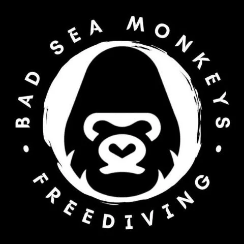 BAD SEA MONKEYS