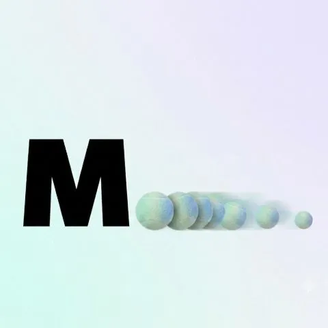 The Midset 
