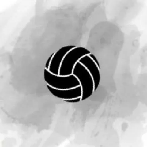 HTX Apex Volleyball 
