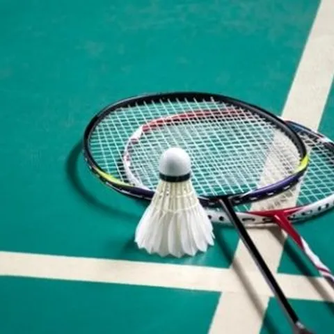 Badminton🏸 🏸 🏸