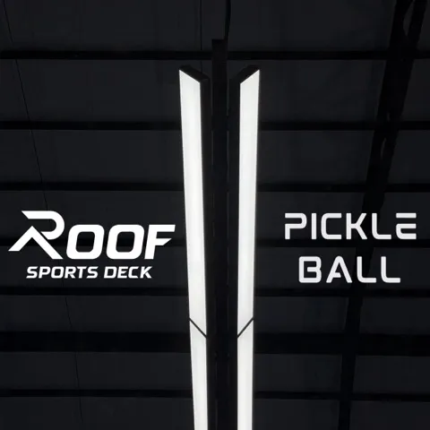 Roof Sports Deck - Pickleball