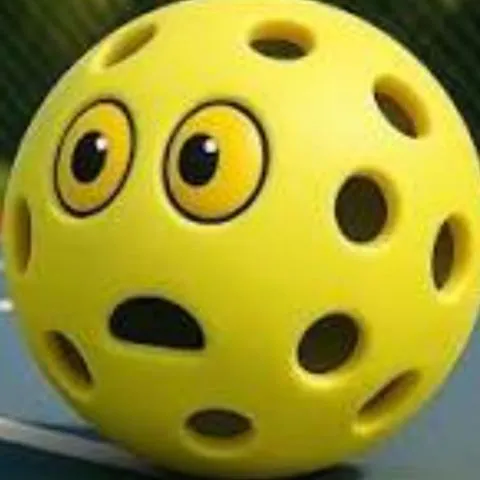 Pickleball 88