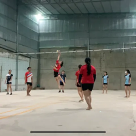 VBFF BÓNG CHUYỀN NAM NỮ