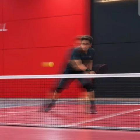 Pickleball Dewa Sport 22