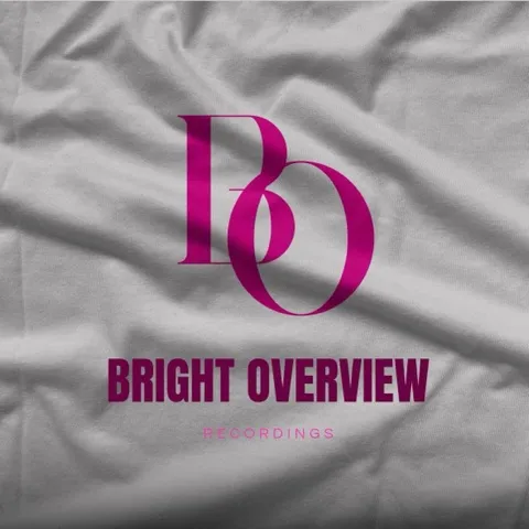 Bright Overview Pickleball