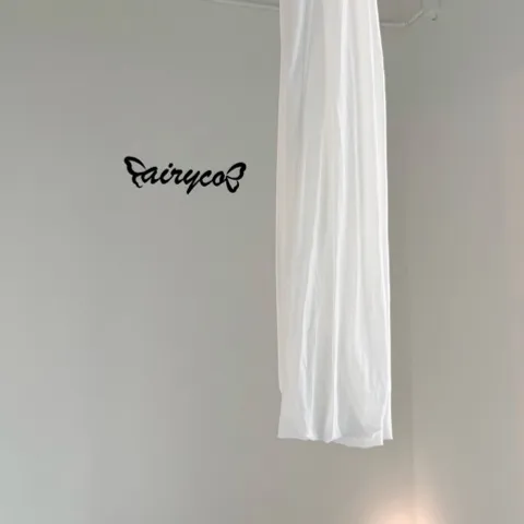 Fairycore Aerial Dance studio