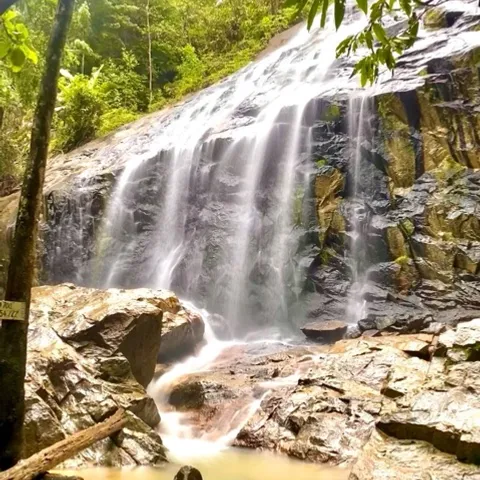 Let's Hike & Exercise Community Group
