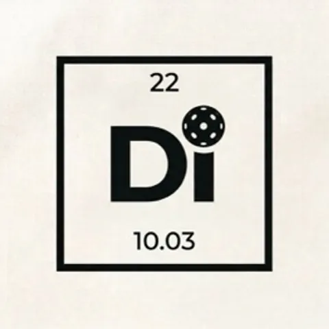 Dink Lab