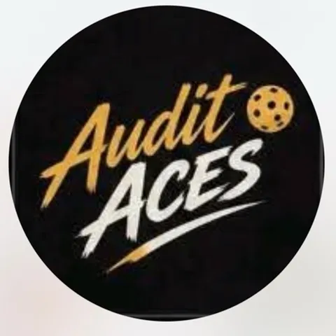 Audit Aces