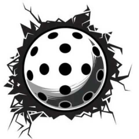WePickleball Club 