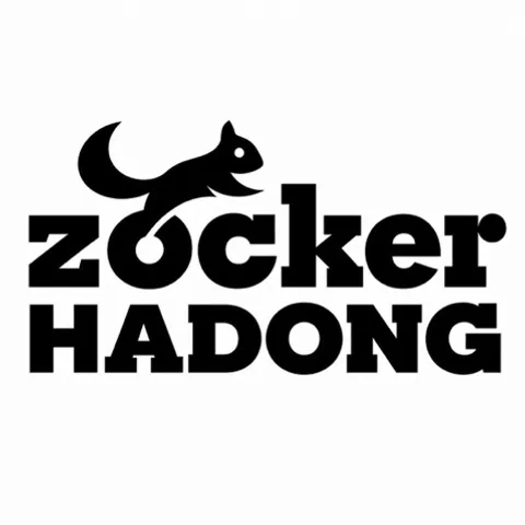 Zocker Hà Đông 