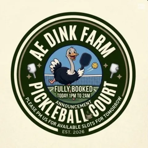 AE DINKFARM PICKLEBALL OUTDOOR
