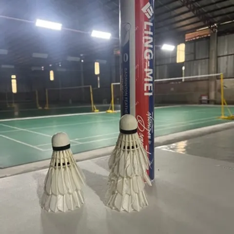 Badminton Association of Rosario