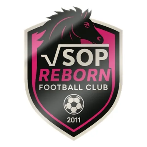 VSOP Reborn FC