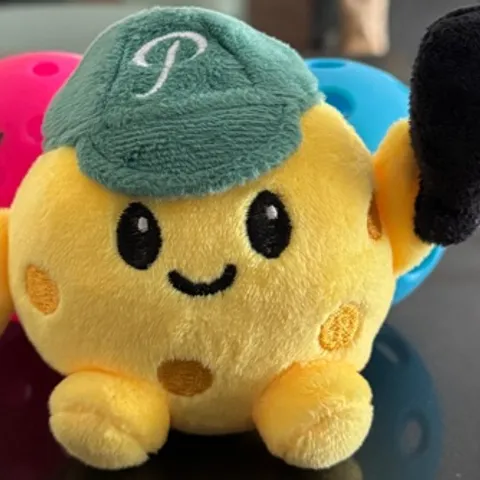 Pickle Buddies SG 🏏