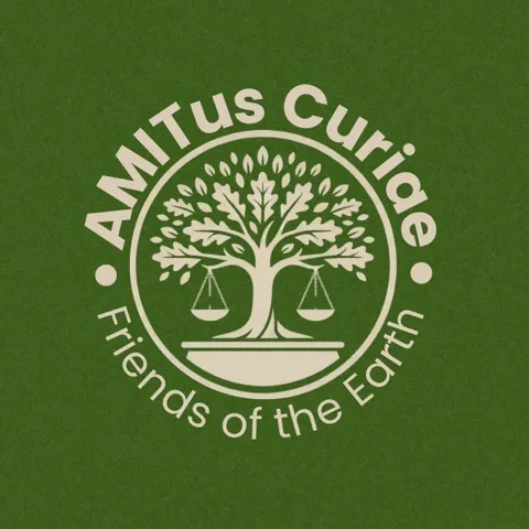 AMITus Curiae 