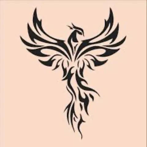 Phoenix Padel Community