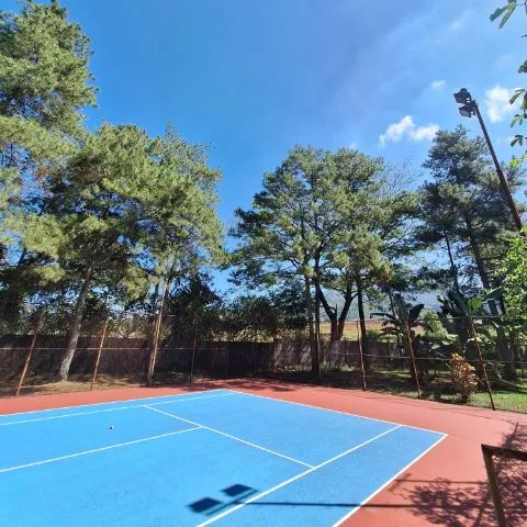 hanyatennis