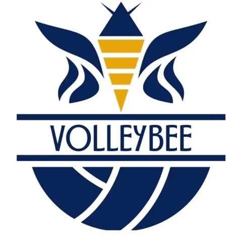 VolleyBee🐝