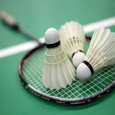 SLG Badminton