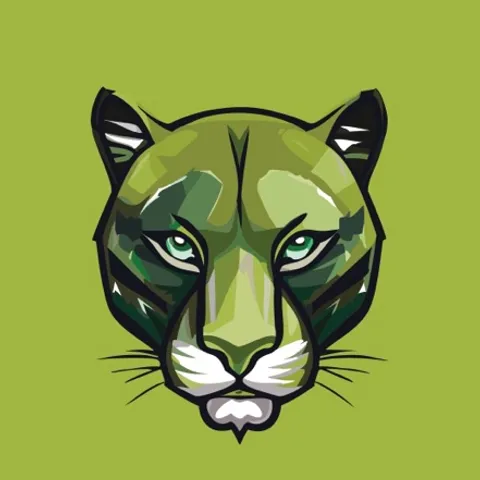 Cougars Flag Football Club