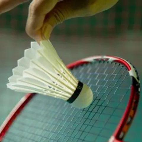 Badminton PB MEDAN SUMUT