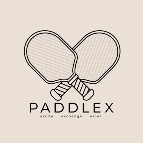 PaddleX 