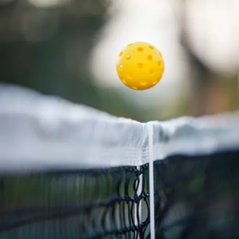 Next Lv Pickleball 