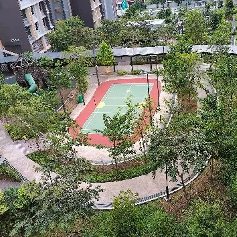 Pickleball@Bidadari (Singapore)