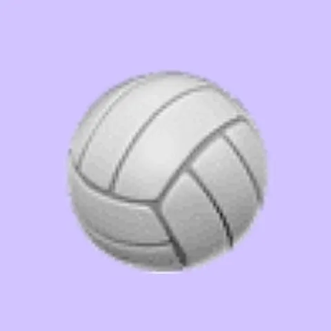 Whyy Volleyball Club