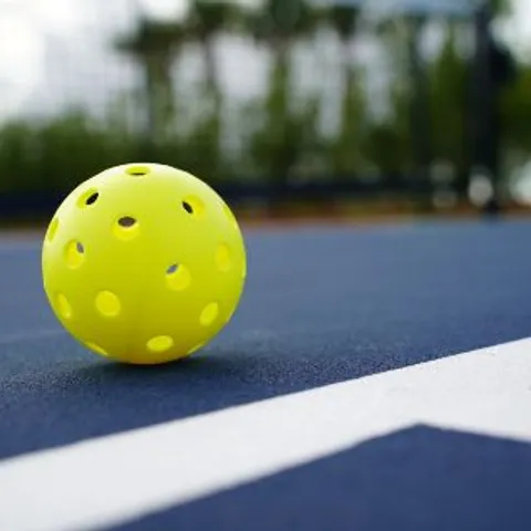 Pickleball connection