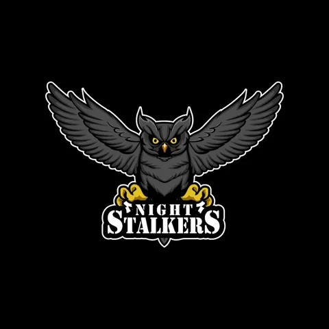 The Nightstalkers