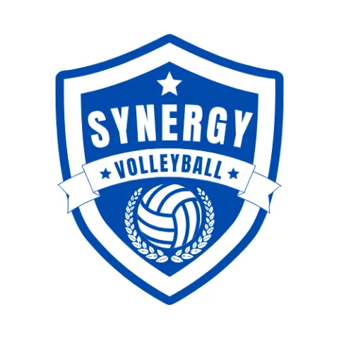 SYNERGY VOLLEYBALL CLUB