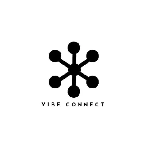 VIBE CONNECT