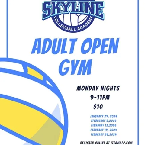 Houston Skyline/Skyline Academy