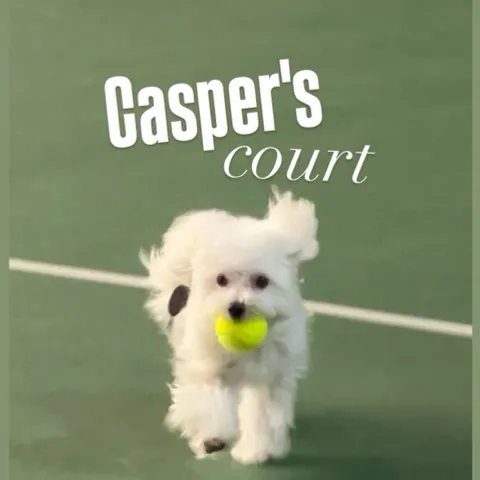 Casper's Court