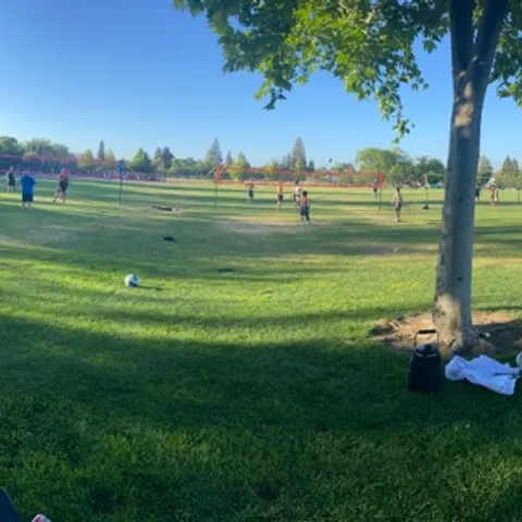 Pleasant Hill Grass Volleyball, Sun 1:00