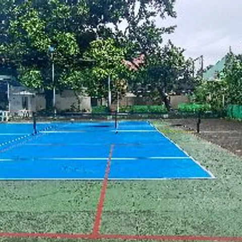 Pickleball hub Agro Homes 