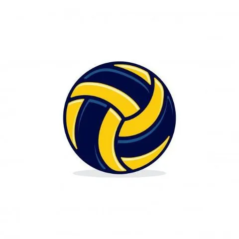 VolleYuk