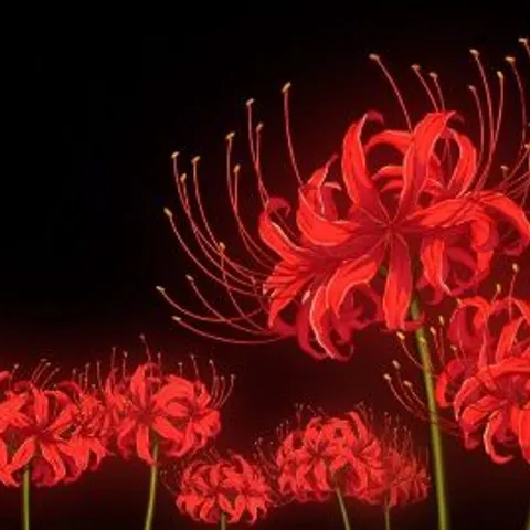 Mobile and Pensacola area Volleyball