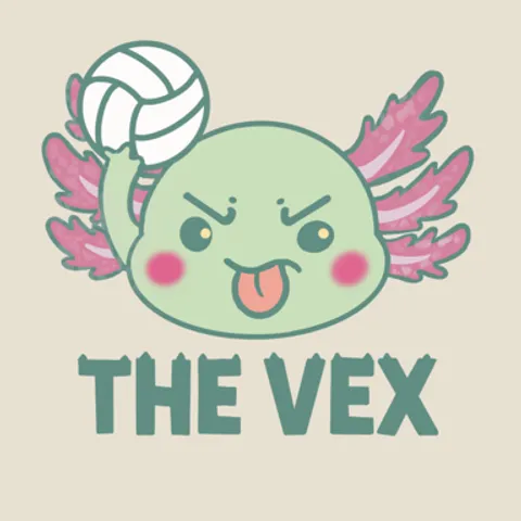 Austin Open Gyms hosted by The Vex