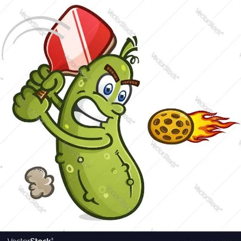 Nee Soon Pickleball Club