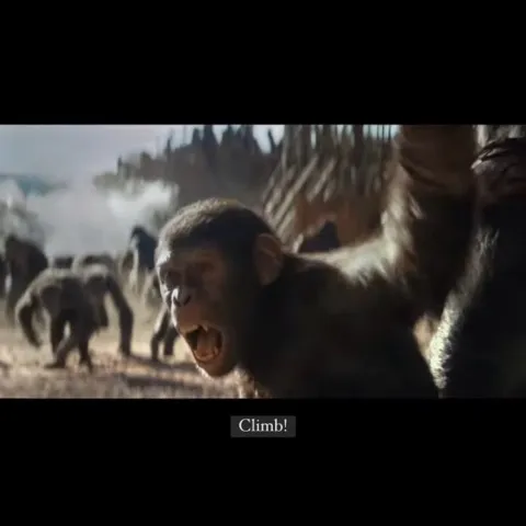 Monkey Climbing Guild