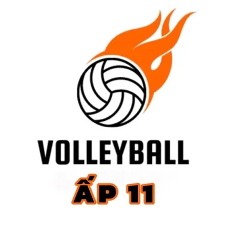 Sân bóng chuyền Ấp 11