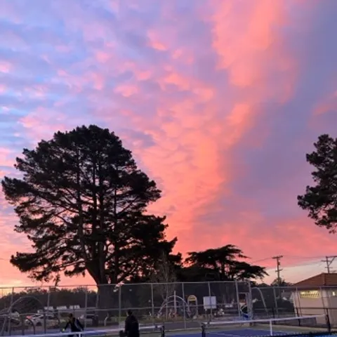 Larsen Morning Tournaments